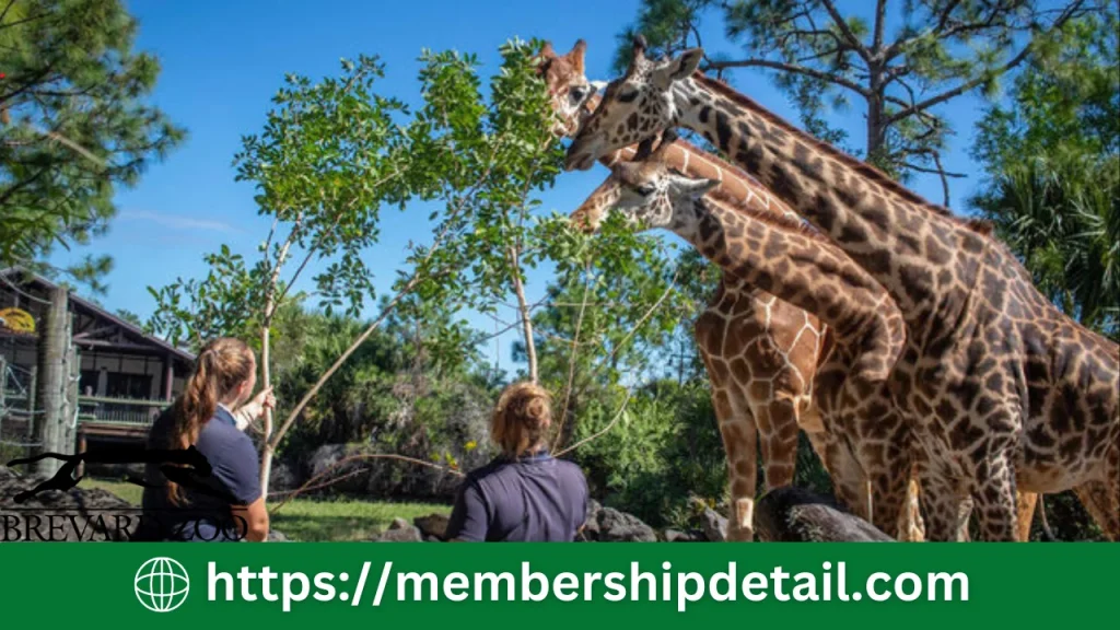 Brevard Zoo Membership Cost 2024 Benefits, Discounts & Reviews