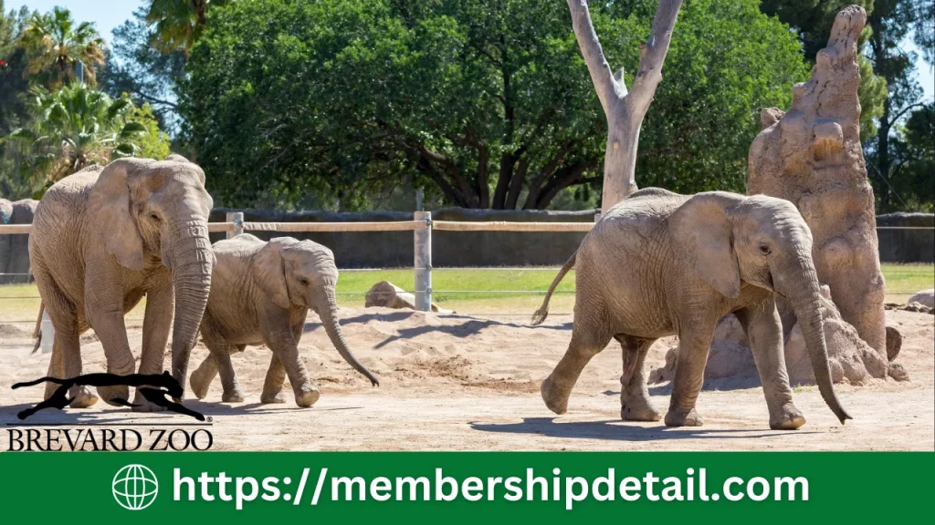 Brevard Zoo Membership Cost 2024 Benefits, Discounts & Reviews