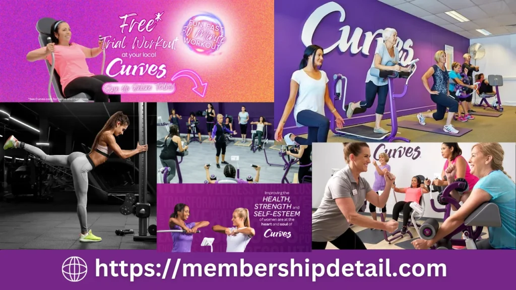 Curves Fitness Membership Cost 2024 Benefits, Free Trails & Review