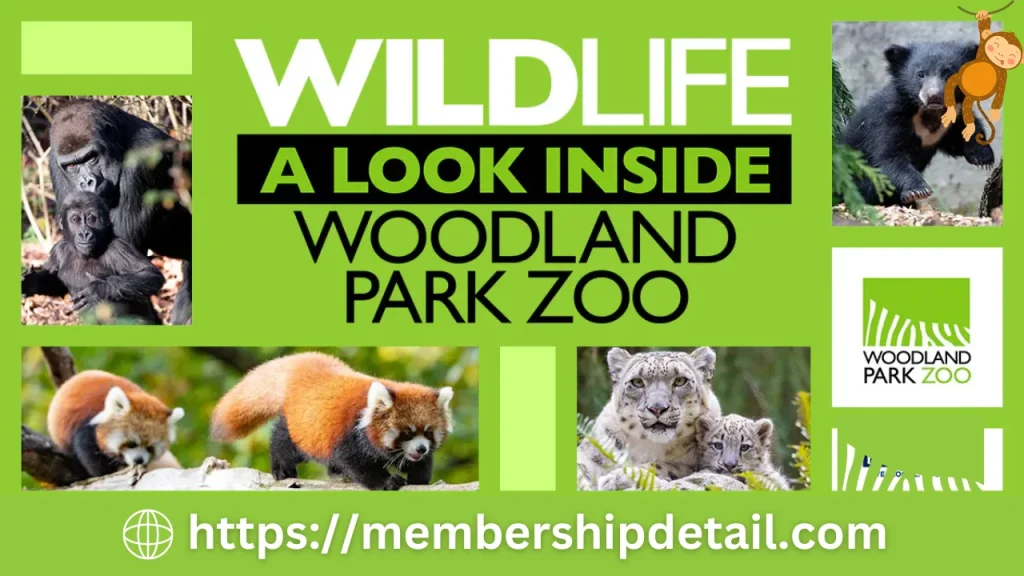 Woodland Park Zoo Membership Cost 2024 Discounts, Benefits Review