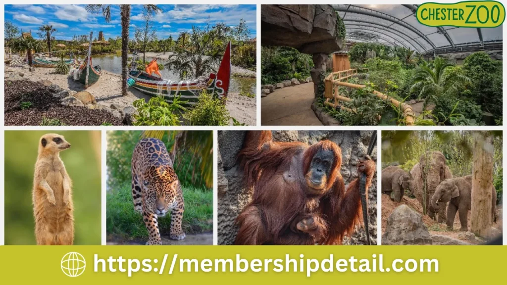 Chester Zoo Membership 2024 Types, Cost, Benefits, Review, Ticket Prices