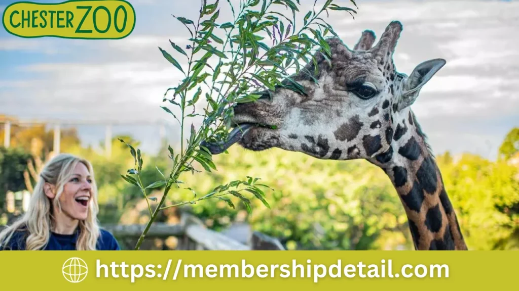 Chester Zoo Membership 2024 Types, Cost, Benefits, Review, Ticket Prices