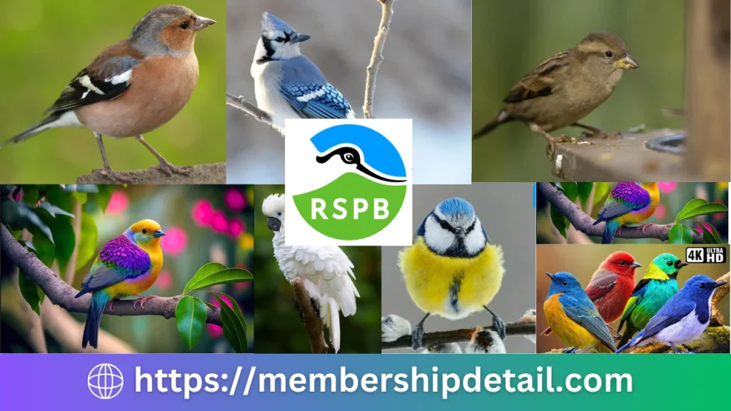 RSPB Membership Cost 2024 Benefits, Cards, Locations, Review, Discounts