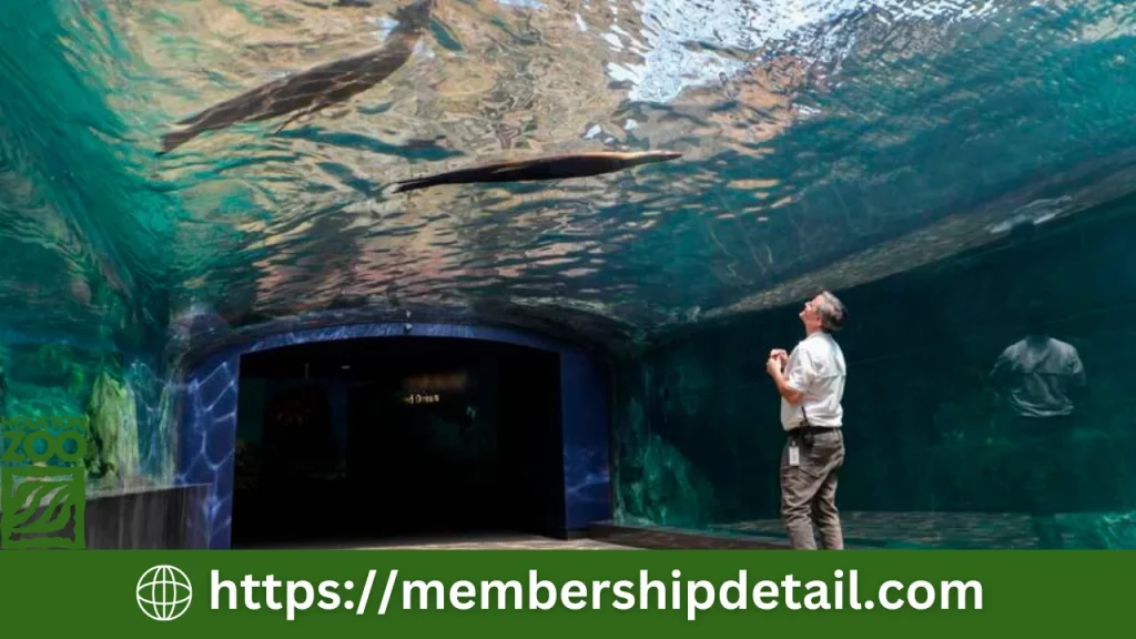 Houston Zoo Membership Cost 2024 Benefits, Ticket Price & Review