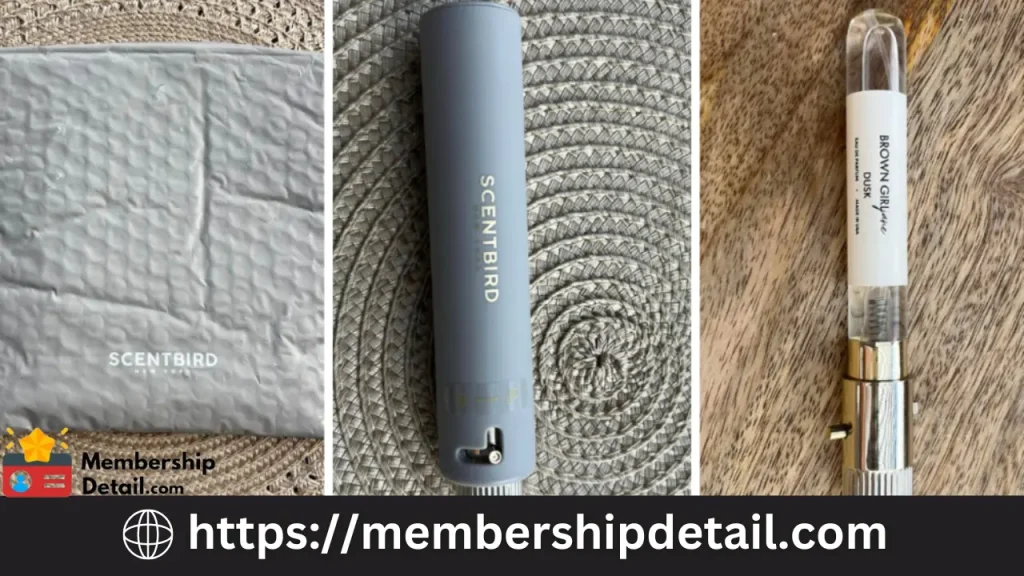 How Much Is Scentbird Subscription Cost 2024 Plans, Benefits & Worth