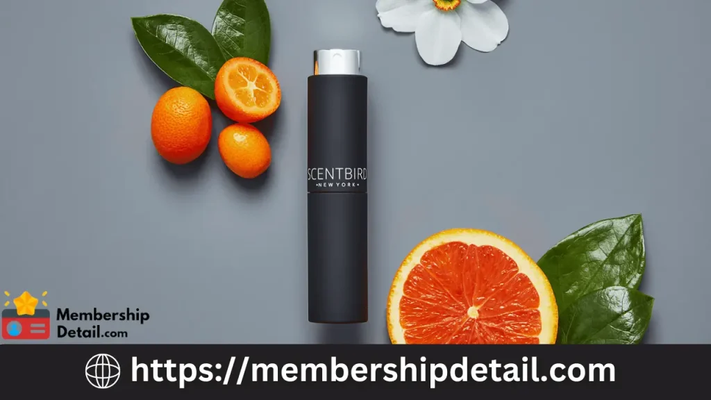 How Much Is Scentbird Subscription Cost 2024 Plans, Benefits & Worth