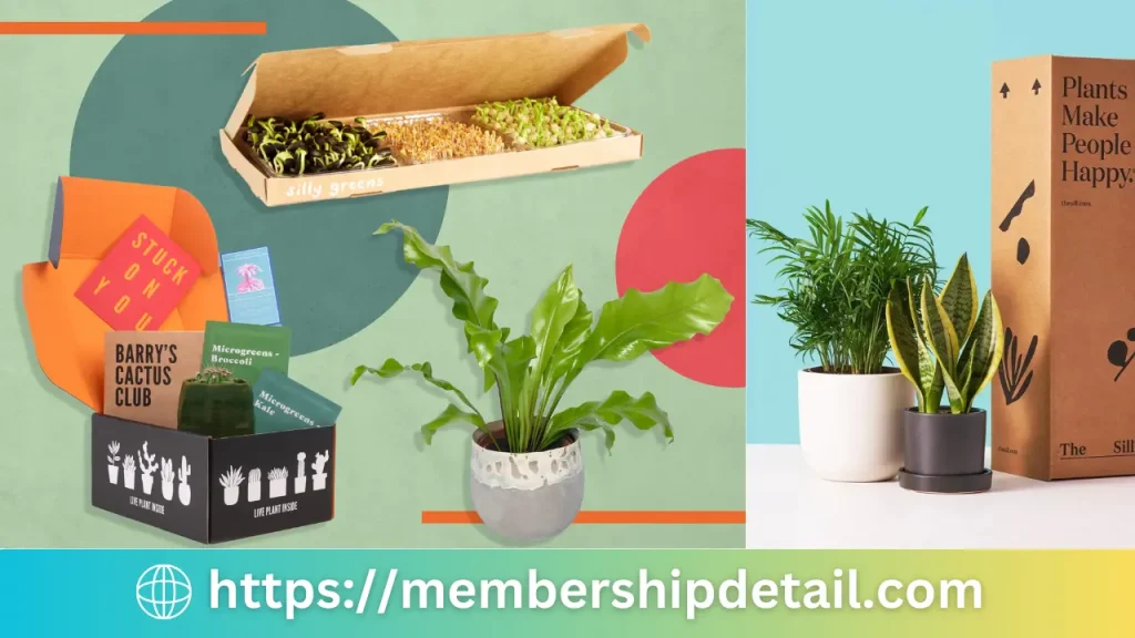 The House Plant Box Subscription Price, Benefits Discounts & Worth