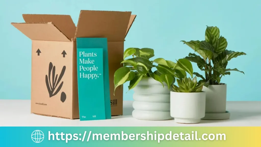 The House Plant Box Subscription Price, Benefits Discounts & Worth