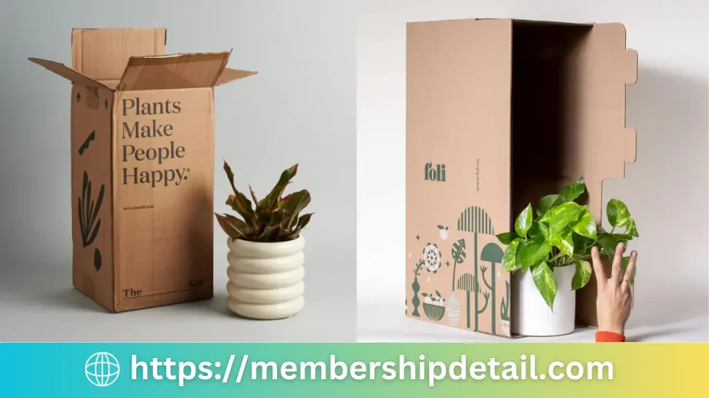 The House Plant Box Subscription Price, Benefits Discounts & Worth