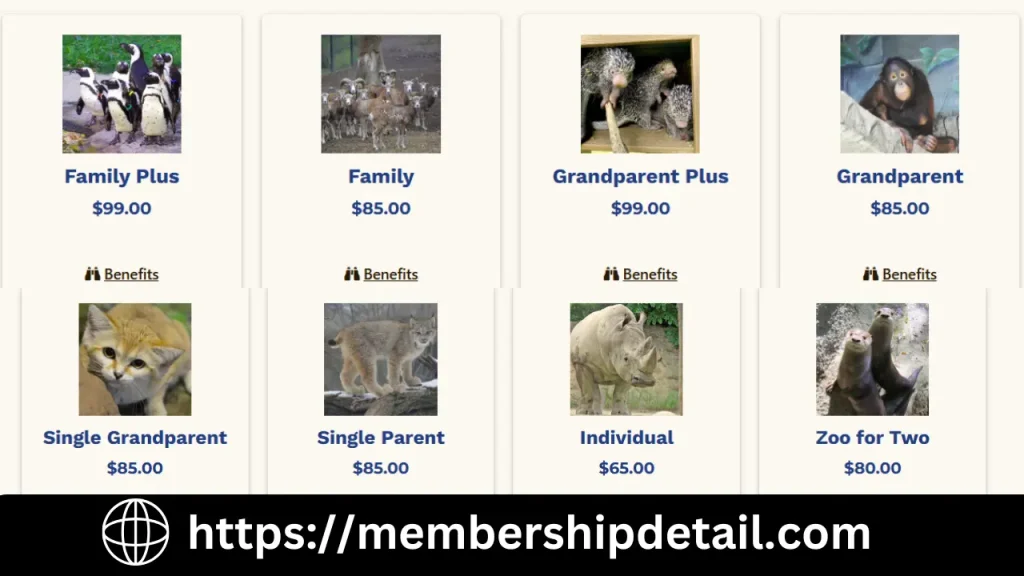 Erie Zoo Membership Cost vs Single Entry Ticket