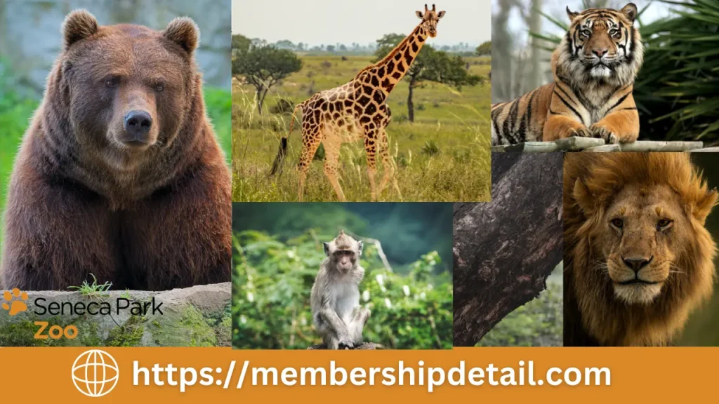 Seneca Park Zoo Membership Discounts & Promo Codes